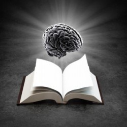 What Is Internet Marketing University? internet marketing university, online university of marketing