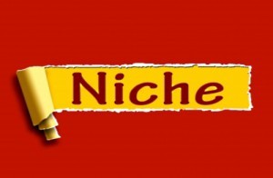 what is a niche