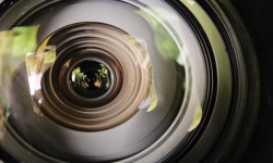 Free Stock Images For Commercial Use: 130+ Sources of Free Photos free stock images