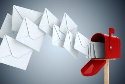 Plugins That Will Help You Build Your Email List Like a Pro build your email list