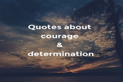 27 Quotes About Courage and Determination That You Need to Read Quotes about courage and determination