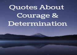 27 Quotes About Courage and Determination That You Need to Read Quotes on Courage & Determination